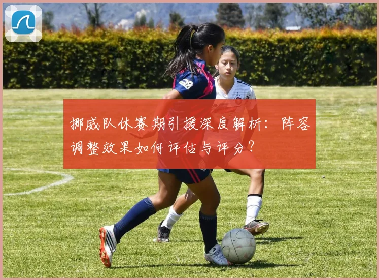 挪威队休赛期引援深度解析：阵容调整效果如何评估与评分？