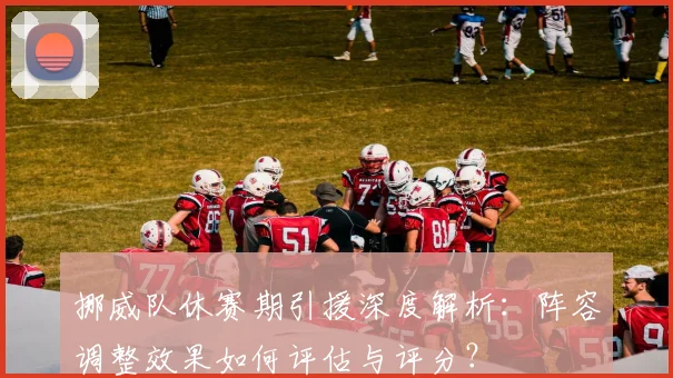挪威队休赛期引援深度解析：阵容调整效果如何评估与评分？